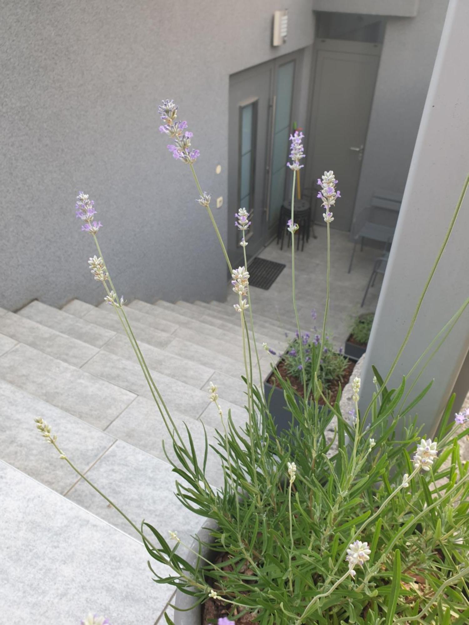 Apartment Emma Ljubljana - Free Parking, Ac, Wifi Pokoj fotografie